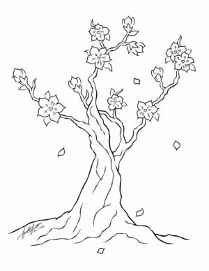 Kiraz Çiçeği boyama sayfası,  coloring page, Basit Kiraz Çiçeği Ağacı, 