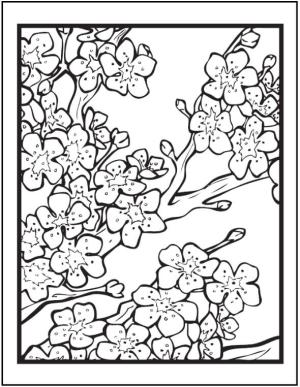 Kiraz Çiçeği boyama sayfası,  coloring page, Mükemmel Kiraz Çiçeği, 