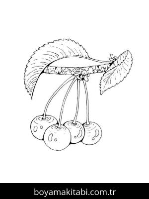 Kiraz boyama sayfası – okul öncesi, evde etkinlik