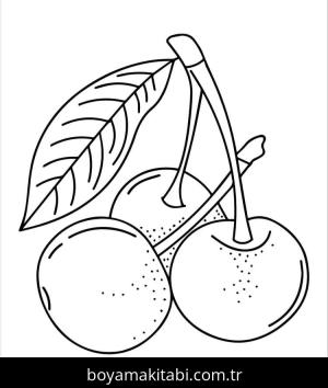 Kiraz boyama sayfası – ücretsiz yazdır, boyama etkinliği