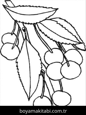 Kiraz boyama sayfası – renkli çizimler, okul öncesi