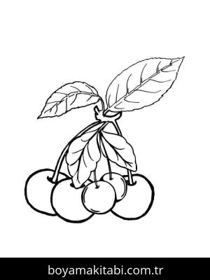 Kiraz boyama sayfası – kolay boyama, eğitici aktivite