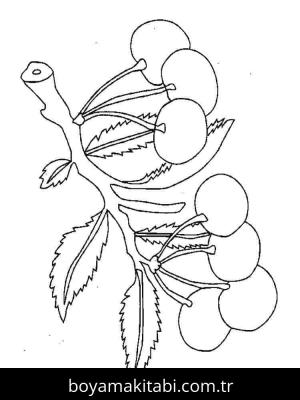 Kiraz boyama sayfası – boyama etkinliği, çocuk aktivitesi