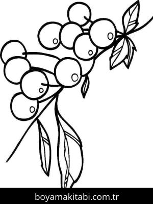 Kiraz boyama sayfası – el becerilerini geliştirir, boyama çalışması