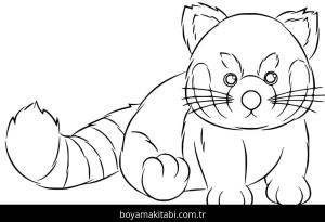 Kırmızı Panda boyama sayfası – eğitici aktivite, yaratıcılık