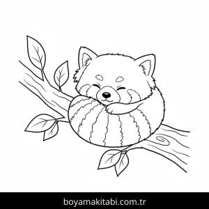 Kırmızı Panda boyama sayfası – yaratıcılık, eğlenceli etkinlik