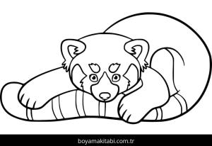 Kırmızı Panda boyama sayfası – basit çizim, kolay boyama