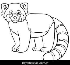 Kırmızı Panda boyama sayfası – çizgi film temalı, basit çizim