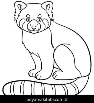 Kırmızı Panda boyama sayfası – renkli çizimler, okul öncesi