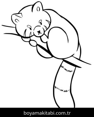 Kırmızı Panda boyama sayfası – renkli çizimler, okul öncesi