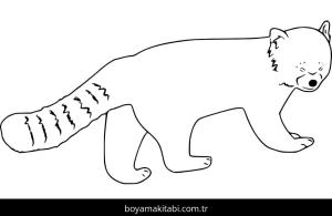 Kırmızı Panda boyama sayfası – basit çizim, kolay boyama