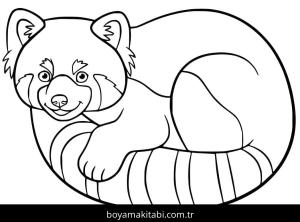 Kırmızı Panda boyama sayfası – çocuklar için, çizgi film temalı