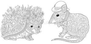 Kirpi boyama sayfası, Hedgehog coloring page, Kirpi Ve Fare, 