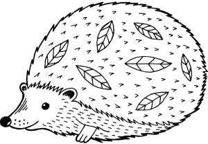 Kirpi boyama sayfası, Hedgehog coloring page, Şişman Kirpi, 