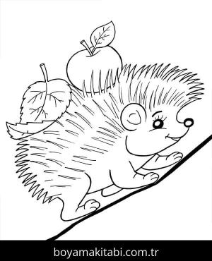 Kirpi boyama sayfası – renkli çizimler, okul öncesi