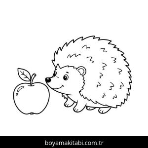 Kirpi boyama sayfası – renkli çizimler, okul öncesi