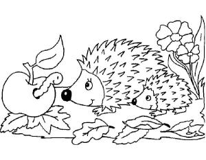 Kirpi boyama sayfası, Hedgehog coloring page, Komik Kirpi, 