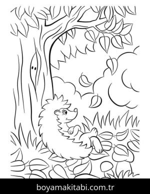 Kirpi boyama sayfası – sanatsal çalışma, çocuklar için