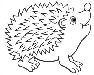 Kirpi boyama sayfası, Hedgehog coloring page, Gülümseyen Kirpi, 