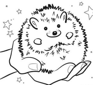 Kirpi boyama sayfası, Hedgehog coloring page, Şişman Kirpi, 