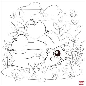 Kirpi boyama sayfası, Hedgehog coloring page, , hedgehog hedgehog 