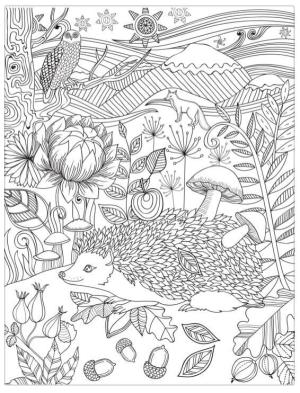 Kirpi boyama sayfası, Hedgehog coloring page, Kirpi Ve Hayvanlar, 