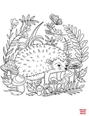 Kirpi boyama sayfası, Hedgehog coloring page, , hedgehog hedgehog 