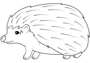 Kirpi boyama sayfası, Hedgehog coloring page, , hedgehog hedgehog 