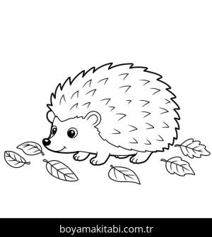 Kirpi boyama sayfası – eğitici aktivite, yaratıcılık