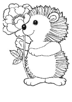 Kirpi boyama sayfası, Hedgehog coloring page, Kirpi Ve Çiçek, 