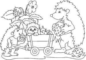 Kirpi boyama sayfası, Hedgehog coloring page, Kirpi Ailesi, 