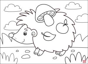 Kirpi boyama sayfası, Hedgehog coloring page, , hedgehog hedgehog 