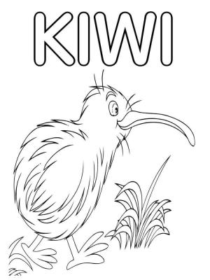 Kivi Kuşu boyama sayfası,  coloring page, Kivi Kuş Yürüyüşü, 