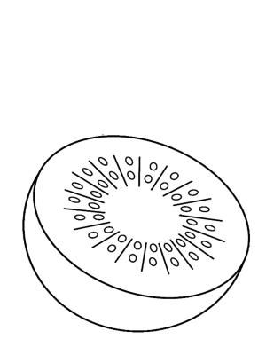 Kivi boyama sayfası,  coloring page, Yarım Kivi, 