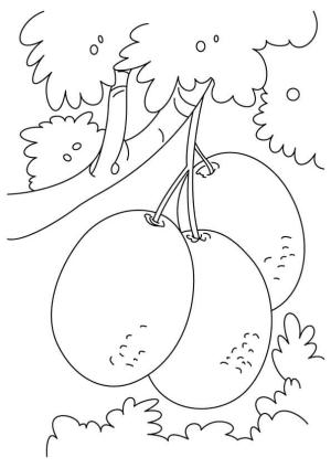 Kivi boyama sayfası,  coloring page, Ağaç Dalı Kivi, 