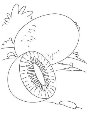 Kivi boyama sayfası,  coloring page, Basit Kivi, 