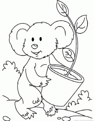 Koala boyama sayfası, Koala coloring page, Bir saksı Bitkisi Tutan Koala, 