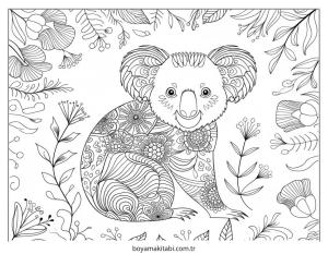 Koala Boyama