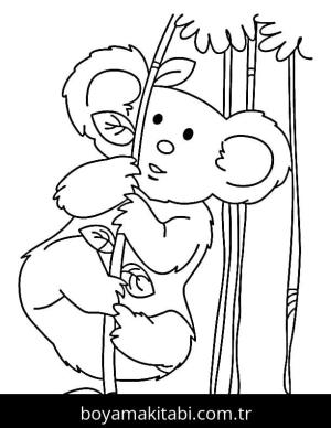 Koala boyama sayfası – keyifli zaman, renkli çizimler