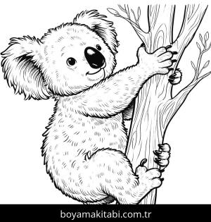 Koala boyama sayfası, Koala coloring page, renkli, popüler, detaylı
