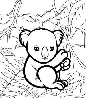 Koala boyama sayfası, Koala coloring page, Koala Tırmanışı Çizimi, 