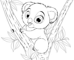 Koala boyama sayfası, Koala coloring page, Eğlenceli Koala, 