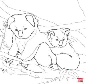 Koala boyama sayfası, Koala coloring page, , koalas mother and baby koala 