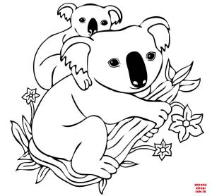 Koala boyama sayfası, Koala coloring page, , koalas baby koala on mother#039;s back 