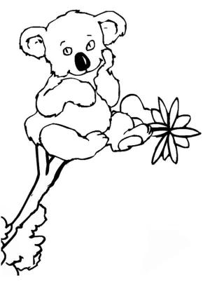 Koala boyama sayfası, Koala coloring page, Dal Ağacın Üzerinde Oturan Koala, 