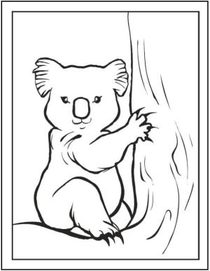 Koala boyama sayfası, Koala coloring page, Harika Koala, 