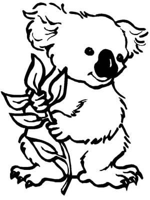 Koala boyama sayfası, Koala coloring page, Koala Tutuyor dal Ağacı, 