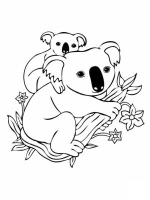 Koala boyama sayfası, Koala coloring page, Anne Koala ile Bebek Koala, 