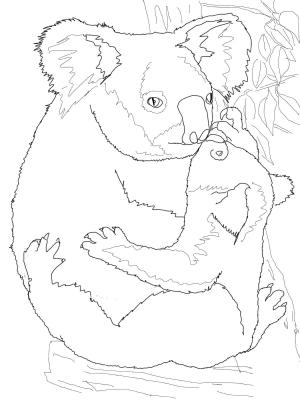 Koala boyama sayfası, Koala coloring page, , koalas mother koala hugging its baby 