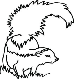 Kokarca boyama sayfası,  coloring page, Çimenlerin üzerinde Kokarca, 